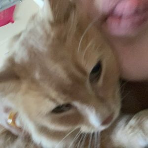 Meet your Posher, Molly